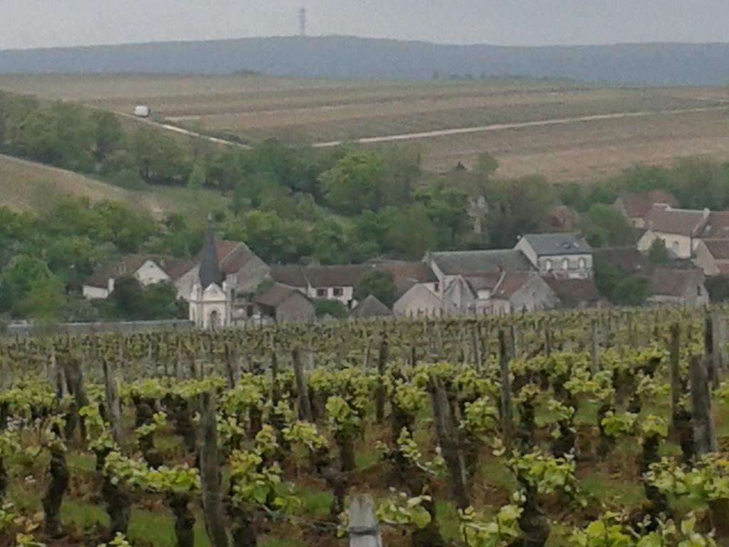 Le Clos Saint Martin Hotel Sancerre Exterior foto